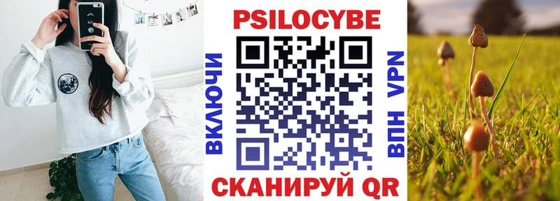 наркошоп  блэк спрут как зайти  Псилоцибиновые грибы Psilocybe  Нерчинск 